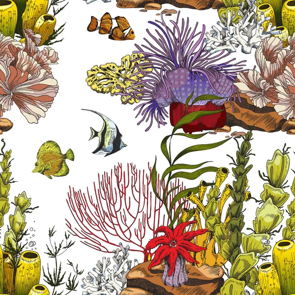 Karang karang dengan ikan dan rumput laut, ilustrasi vektor dari pola mulus dalam gaya sketsa berwarna. - Stok Vektor