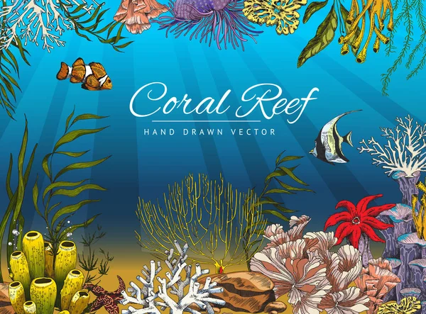 산호초 군락 과 물고기, 색깔있는 스케치 벡터 삽화가 있는 해저나 바다 밑바닥. — 스톡 벡터