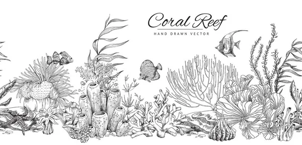 Безшовний ручний банер коралових рифів у гравірованому стилі ескізу Векторні ілюстрації . — стоковий вектор