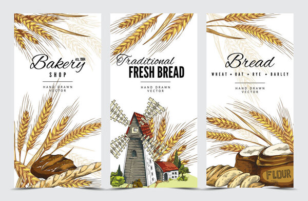 Vertical vintage banners for bakery design in colored sketch vector illustration