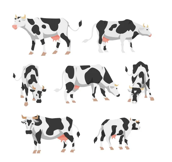 Conjunto de vacas Holstein para granja ganadera en ilustración vectorial plana aislada — Vector de stock