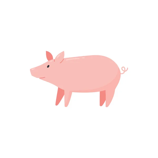 Suíno rosa fazenda animal e boa sorte talismã, ilustração vetorial plana isolado. — Vetor de Stock