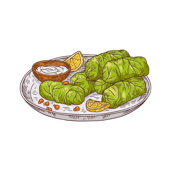 Piring dari hidangan tradisional Turki - dolmades dalam gaya sketsa berwarna, ilustrasi vektor diisolasi pada latar belakang putih. - Stok Vektor