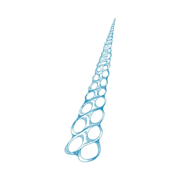 円錐形の貝殻のアイコン、青い線のベクトルのイラストを彫刻孤立. — ストックベクタ
