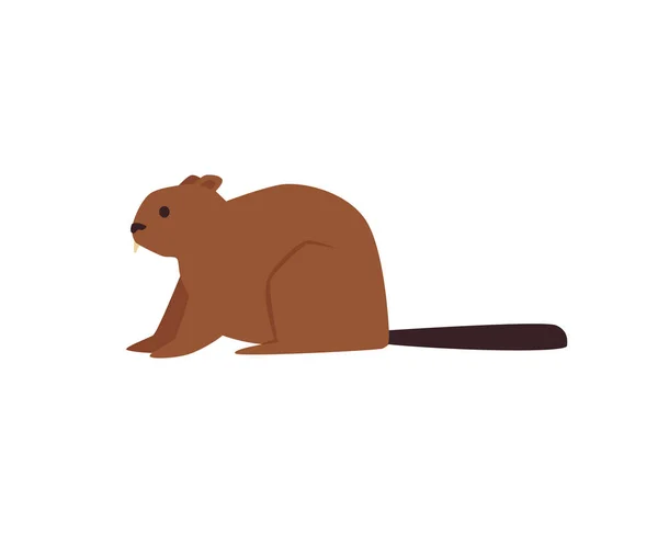 Forest beaver animal sits sideways to viewer, flat vector illustration isolated. — 图库矢量图片