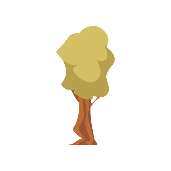 Ilustración vectorial de dibujos animados de árbol de bosque verde único, aislado sobre fondo blanco. Planta de madera cultivada. — Vector de stock