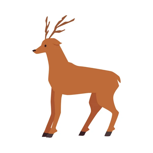 Cute deer with horns, tail. Beautiful wild animal, cartoon christmas reindeer — Stockvektor