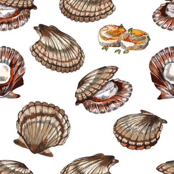 Scallop ή clam αδιάλειπτη μοτίβο σε στυλ σκίτσο χέρι, διανυσματική απεικόνιση σε λευκό φόντο. — Διανυσματικό Αρχείο