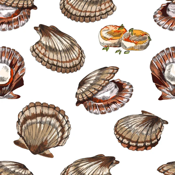 Scallop or clam seamless pattern in hand drawn sketch style, vector illustration on white background. — стоковый вектор