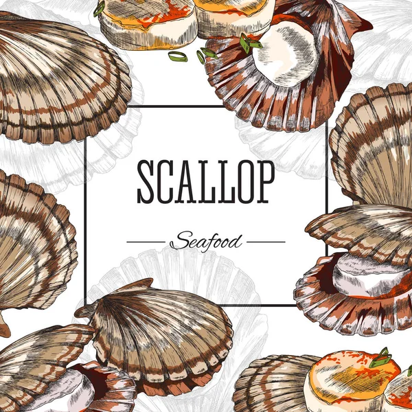 Scallop clam owoce morza elegancki kwadrat ramki granicy dla menu lub projektowania kart, szkic rysunek stylu. Morszczuk czerpany. — Wektor stockowy