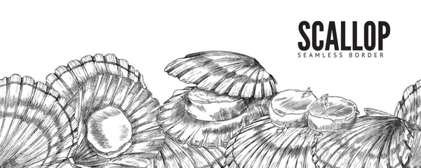 Vieira concha borde horizontal sin costura, dibujo a lápiz vectorial. Patrón de mariscos de concha marina para banner o adorno. — Archivo Imágenes Vectoriales