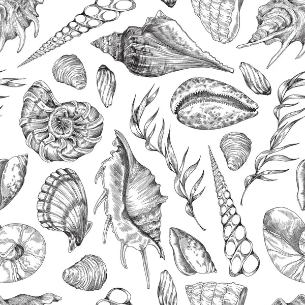 조개와바 다 해초가 들어 있는 해저 갈매기없는 무늬, 단색 스케치 벡터 삽화. — 스톡 벡터