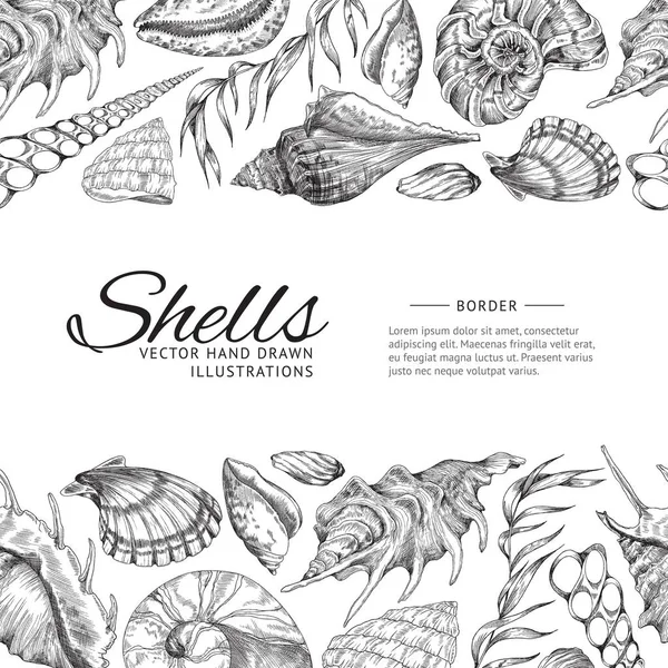 Banner or card with hand drawn ocean shells, engraving vector illustration. — стоковый вектор