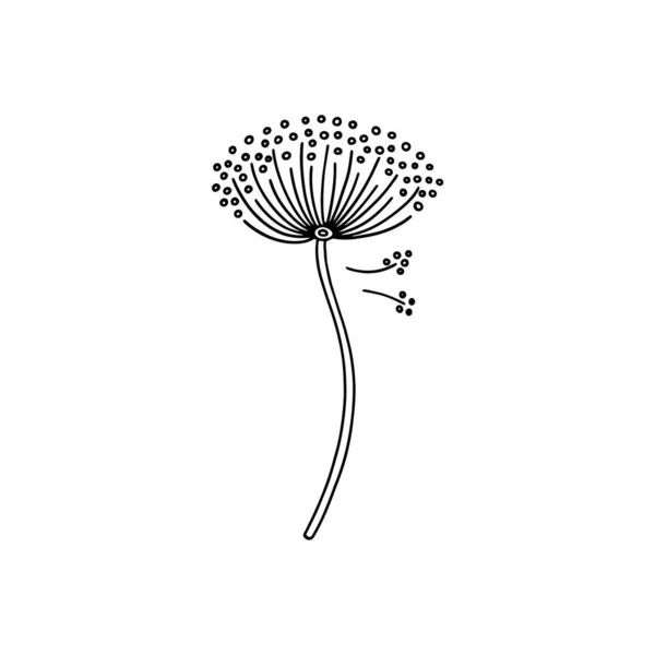 Линейный цветок одуванчика в стиле рисованных каракулей, векторная иллюстрация на белом фоне. — стоковый вектор