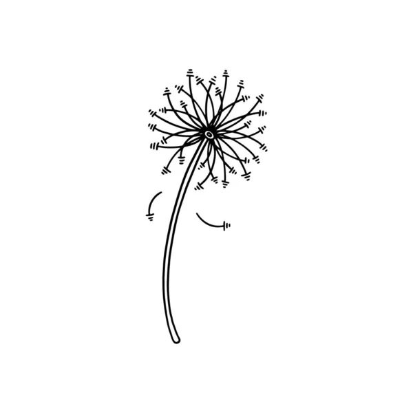 Симпатичное цветочное растение одуванчика с семенами в линейном стиле каракулей, векторная иллюстрация выделена на белом фоне. — стоковый вектор