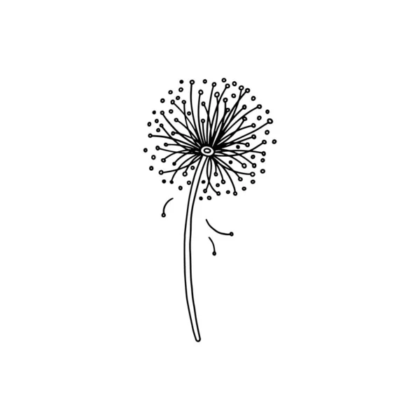 Bloeiende paardebloem lente bloem met zwarte lijnen, doodle vector illustratie geïsoleerd op een achtergrond. — Stockvector