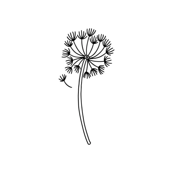 Dandelion weed flower black contour vector illustration. Simple doodle spring meadow flower. — Stockvektor