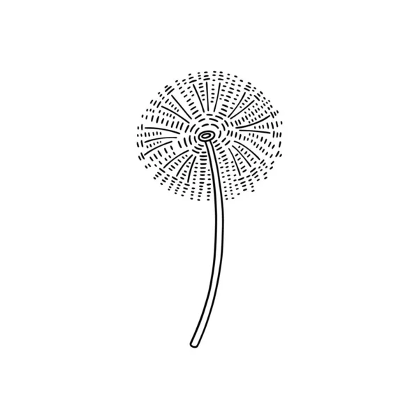 Логотип цветочного бутона одуванчика. Одуванчик в стиле гравировки. Черно-белый одуванчик с пушистым облаком семян — стоковый вектор