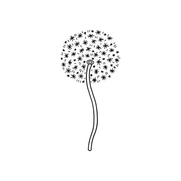 Dandelion flower with fluffy cloud around its stem, vector illustration. Black and white botany decoration. — Stock Vector