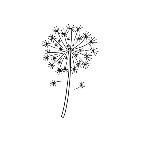 Dandelion hand drawn vector logo. Black and white fluffy spring flower drawing, isolated on white background. — Stockvektor