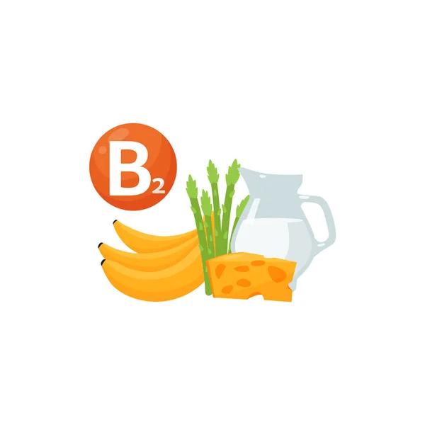 Sources of vitamin B2 - banana, milk, cheese and asparagus, flat vector illustration isolated on white background. — Stock vektor