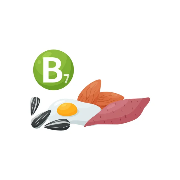 ビタミンB7源-サツマイモ、アーモンド、卵、ひまわりの種、白い背景に隔離されたベクトルイラスト. — ストックベクタ