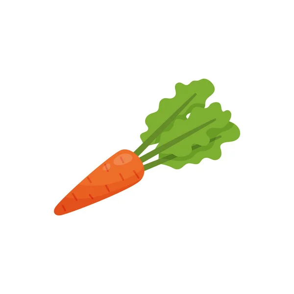 Carrot root cartoon icon or symbol flat vector illustration isolated on white. — Stockový vektor