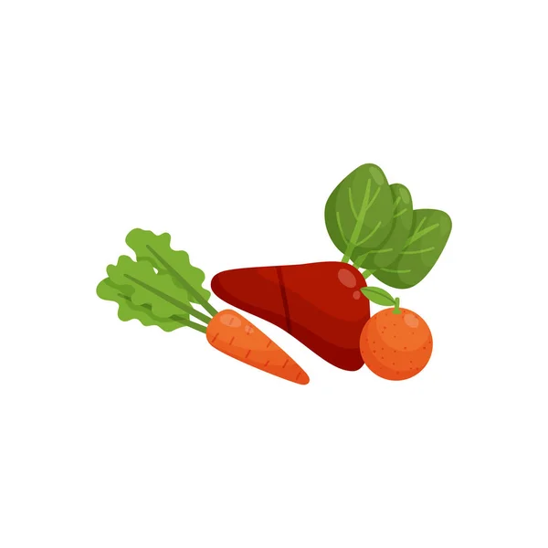 Vitamin A sources of plant and animal origin flat vector illustration isolated. — Vetor de Stock