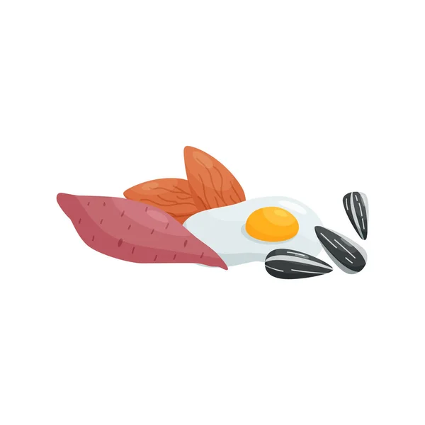 Healthy food - sweet potato, egg, sunflower seed and almond nut, flat vector illustration isolated on white background. — Vector de stock