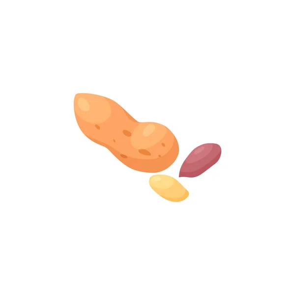 Whole peanut in a shell and seeds from opened nut. Sketch cartoon vector illustration. Groundnut icon, isolated. — Stockvektor