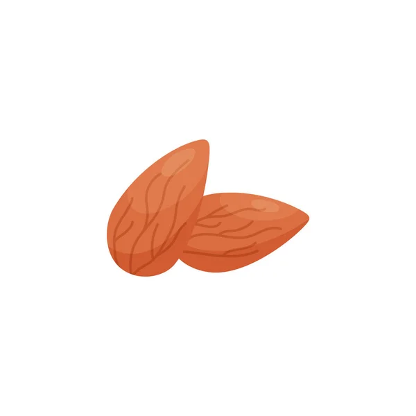 Semilla marrón almendra, aislada. Dos almendras enteras que yacen en un montón, icono de vector de dibujos animados o logotipo. Ilustración de semillas de frutos secos. — Vector de stock