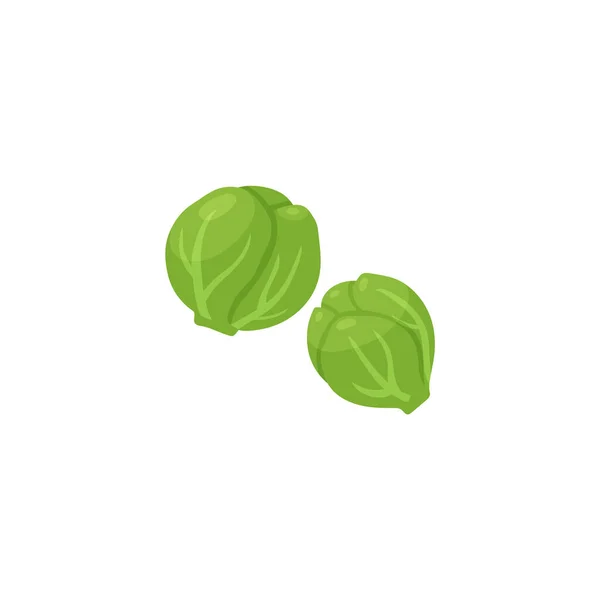 Dos brotes de Bruselas ilustración vectorial. coles de Bruselas col vegetal verde, icono de dibujos animados aislados. — Vector de stock