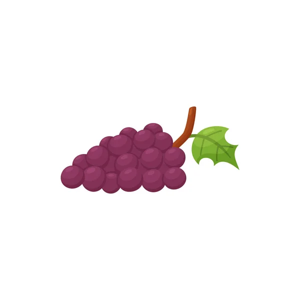 Bunch or red or violet grape, lying side view. Purple grape branch with green leaf, cartoon vector illustration isolated —  Vetores de Stock