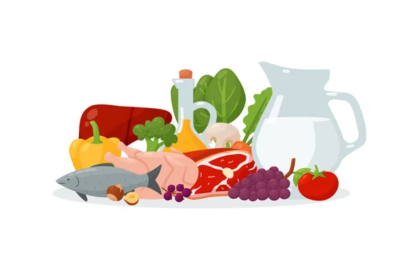 Healthy nutrition consisting of vegetables, meat and fish protein and dairy, still life vector illustration. — Stock vektor