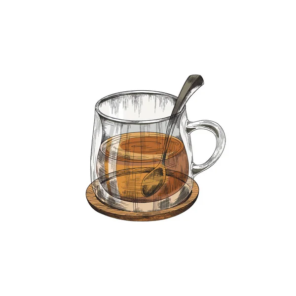 Brown or red tea in a glass cup with spoon in it standing on saucer or wood coaster, color vintage sketch illustration. — 스톡 벡터