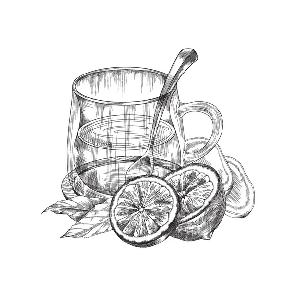 Cup of tea with lemon and ginger engraving vector illustration isolated. — Stock vektor