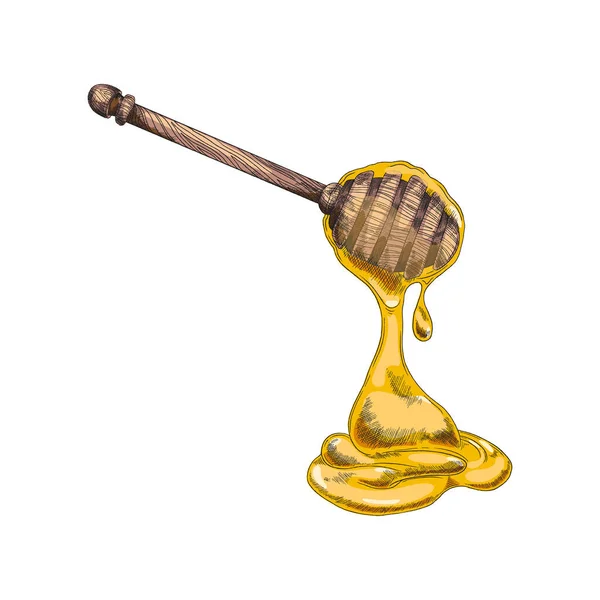 Wooden honey dipper in hand drawn sketch style, vektor illustration isolated on white background. - Stok Vektor