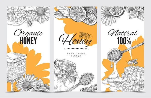 Bee honey banners or vertical flyers templates sketch vector illustration. — Stock Vector