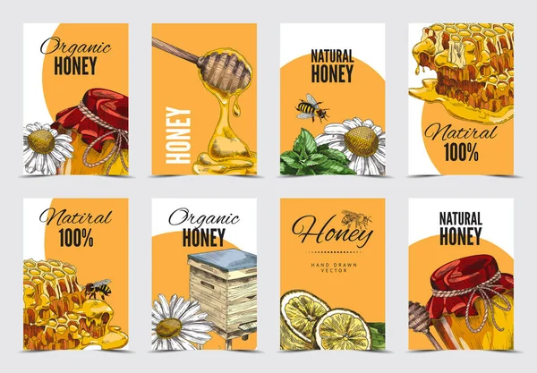 Mel de abelha desenhado à mão etiquetas ou folhetos coleção, esboço ilustração vetorial. — Vetor de Stock