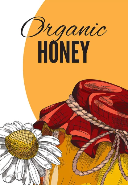 Ekologisk honung reklam vertikal affisch eller banner, handritad skiss vektor illustration. — Stock vektor