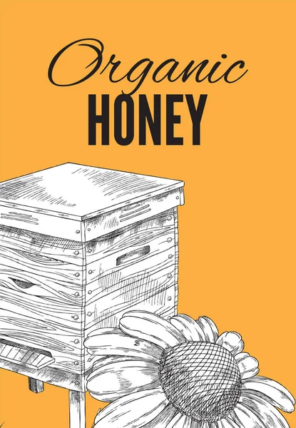 Ekologisk honung banner layout med bikupa, gravyr stil vektor illustration. — Stock vektor