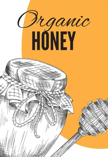 Ekologisk honung banner med burk och dipper, gravyr vektor illustration. — Stock vektor