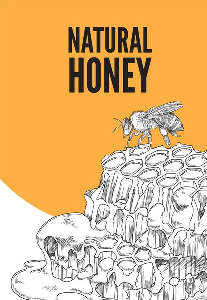Diseño de pancarta de miel natural con abeja en panal, ilustración de vectores de bocetos. — Vector de stock