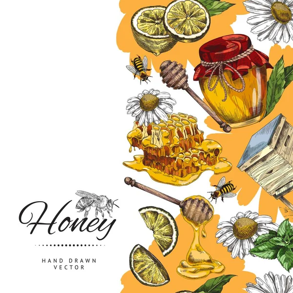 Banner de miel o diseño de póster con abejas y colmenas, ilustración de vectores de bocetos. — Vector de stock