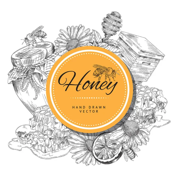 Banner o etiqueta natural de miel de abeja, ilustración vectorial de grabado aislada. — Vector de stock