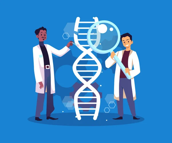 Αρσενικοί γιατροί ή επιστήμονες που εργάζονται στη μηχανική του DNA, επίπεδη διανυσματική απεικόνιση απομονωμένη σε μπλε φόντο. — Διανυσματικό Αρχείο