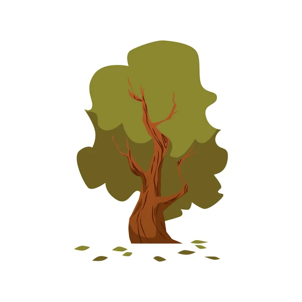 Καλοκαιρινό δέντρο με πράσινο φύλλωμα, επίπεδη απεικόνιση φορέα κινουμένων σχεδίων απομονωμένη. — Διανυσματικό Αρχείο