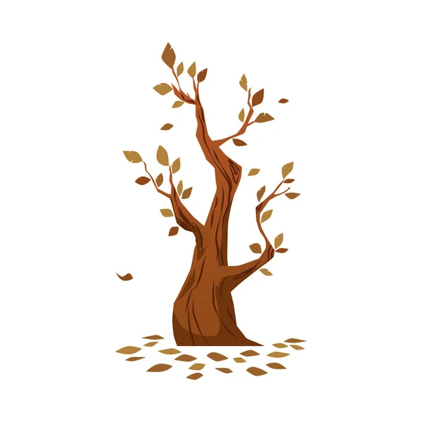 Φθινοπωρινό δέντρο με πεσμένα φύλλα και κλαδιά, επίπεδη διανυσματική απεικόνιση απομονωμένη. — Διανυσματικό Αρχείο