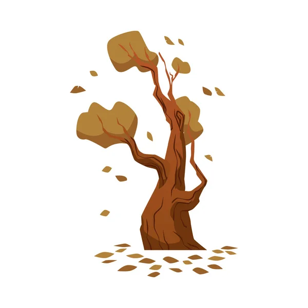 Folha cair em árvore de carvalho outono, ilustração vetorial plana isolado no fundo branco. — Vetor de Stock