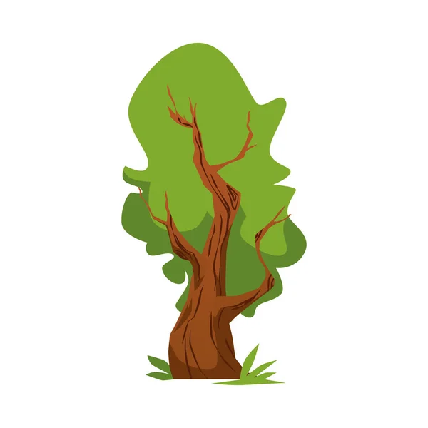 Grüner Baum im Sommer, flache Vektordarstellung isoliert auf weißem Hintergrund. — Stockvektor